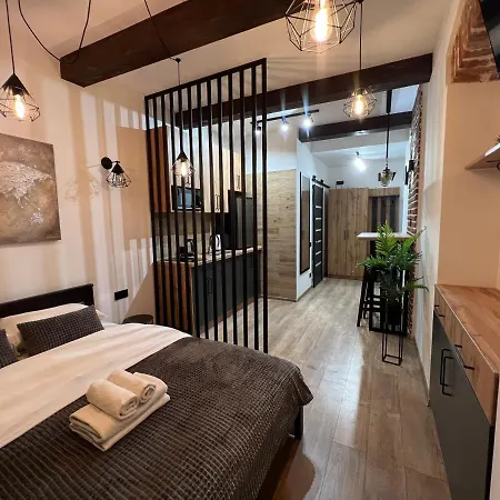Апартаменты Cozy Loft на староєврейській 24
